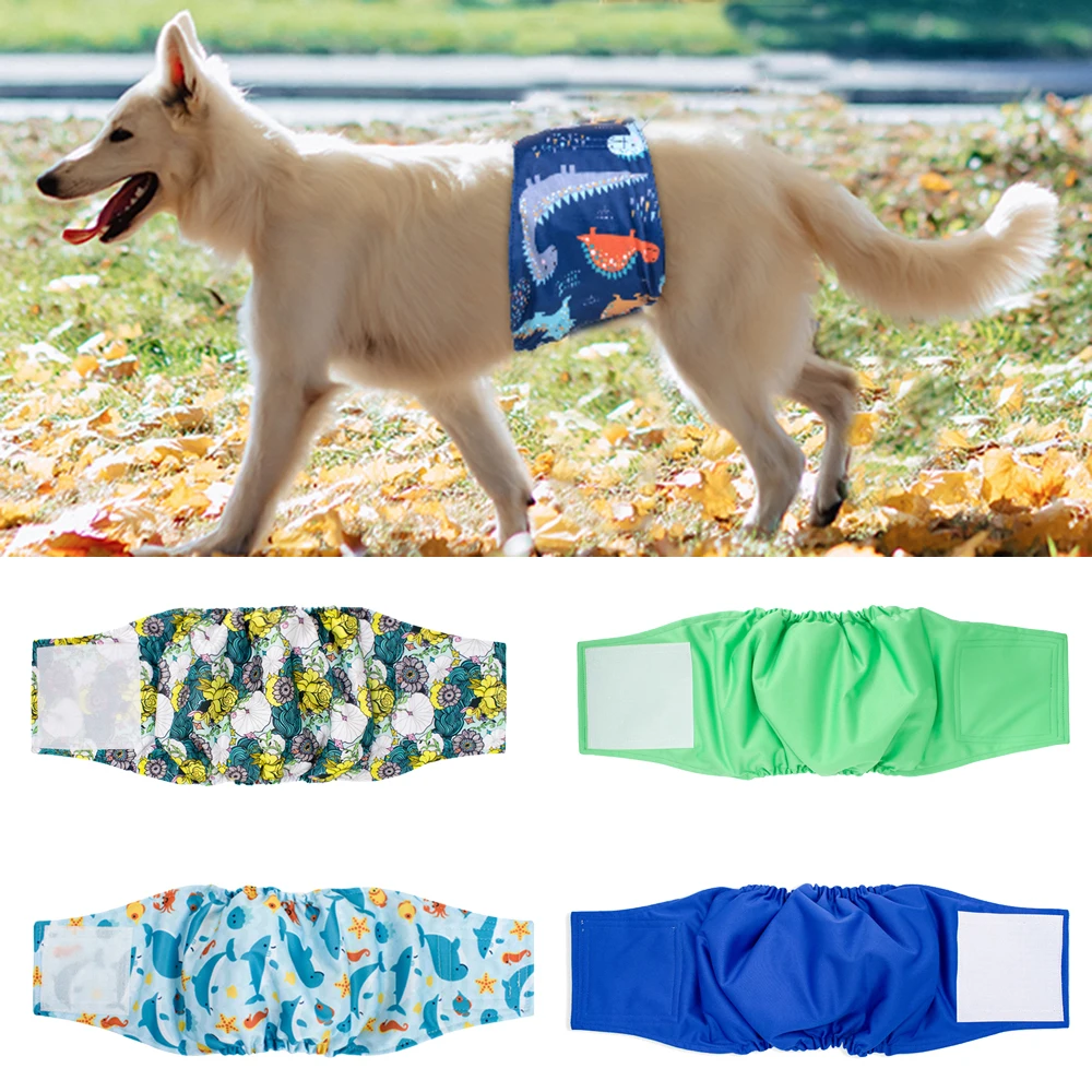 Pañales para perros machos esterilizados con estampado suave