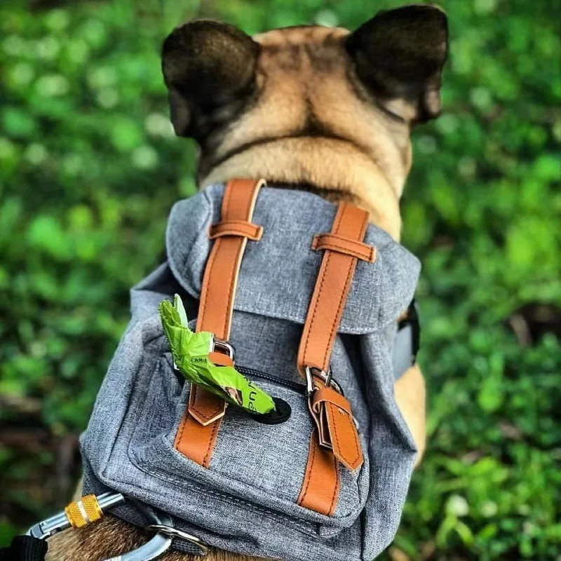 Mochila Retro británica para perros, bolsa de transporte para senderismo, bolsas para excrementos de perros empaquetadas de viaje, mochila para perros, suministros para mascotas para caminar al aire libre - imagen 3