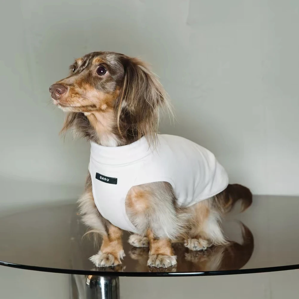 Chaleco de algodón cómodo para perros salchicha – entretiempo - imagen 3