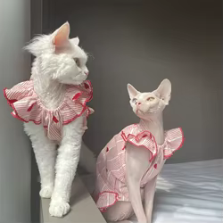 Vestido de algodón para gatos Devon Rex y Sphynx con cuello de encaje