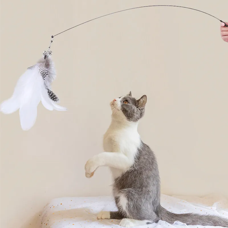 Juguetes interactivos para gatos, juguetes de plumas de alambre de acero para gatos, palo con ventosa, juguete para gatos con campana, productos para mascotas - imagen 4