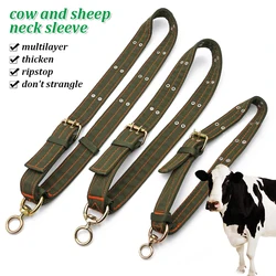 Collar de lona resistente para perro grande – Ajuste regulable