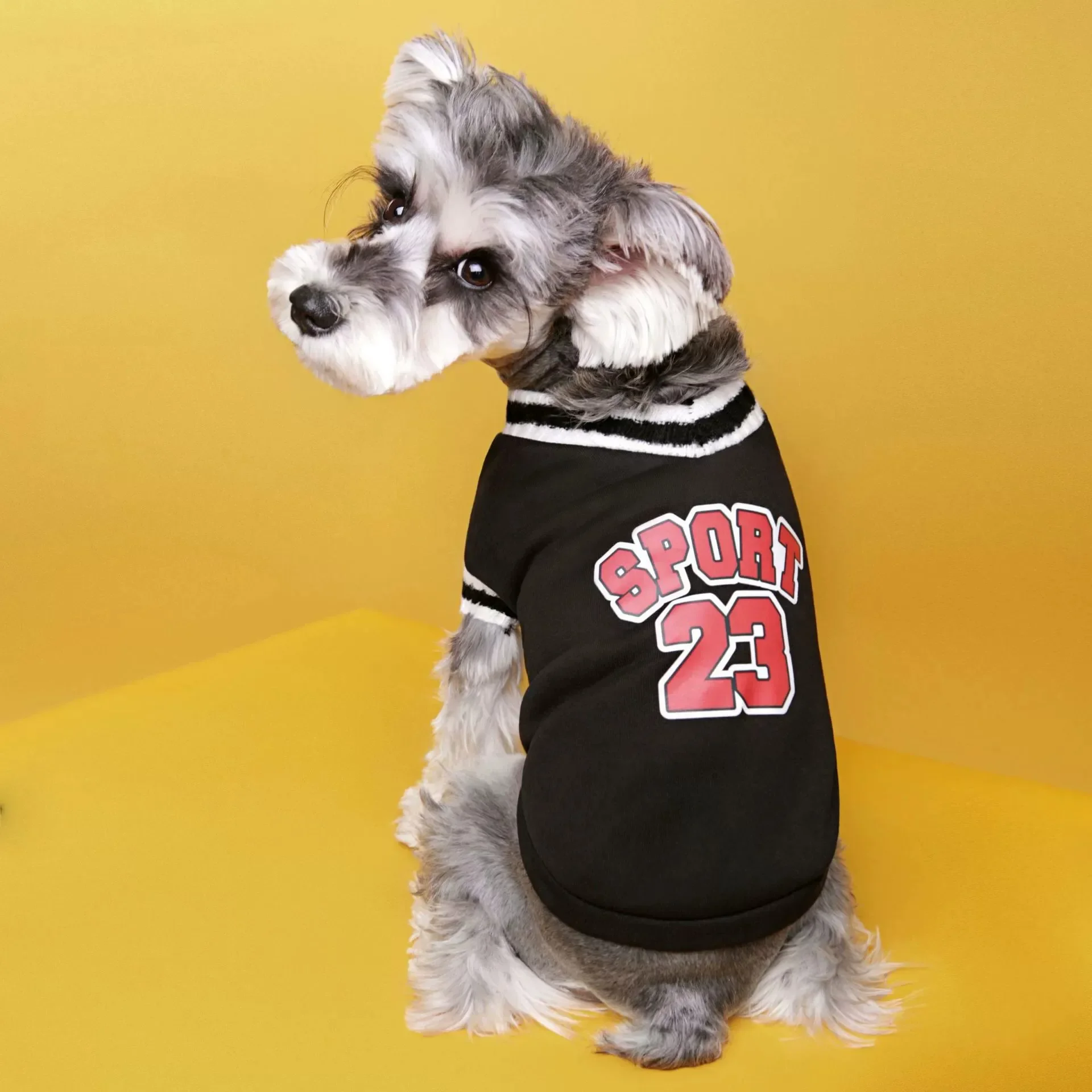 Suéter de moda para mascotas de otoño e invierno, ropa para perros de estilo escolar, suéter cálido de lana para perros pequeños y medianos - imagen 5