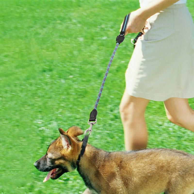 Perros caminan correa un solo paso reflectantes entrenamiento