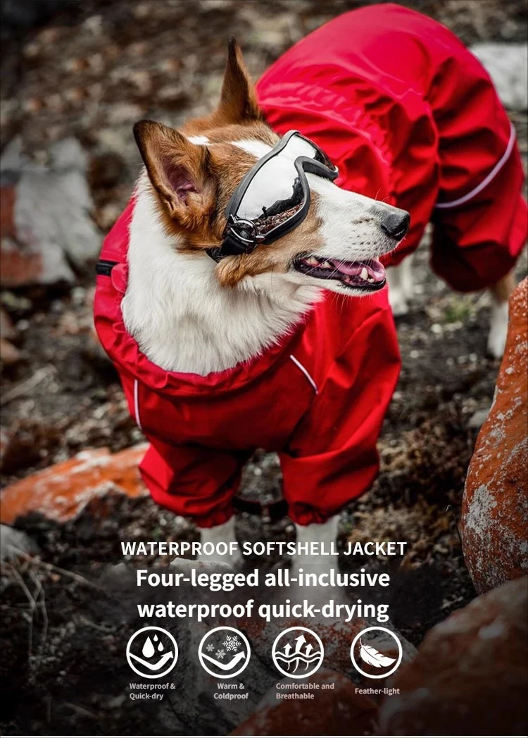 Impermeable ligero para perros - Traje de cuatro patas reflectante - imagen 5