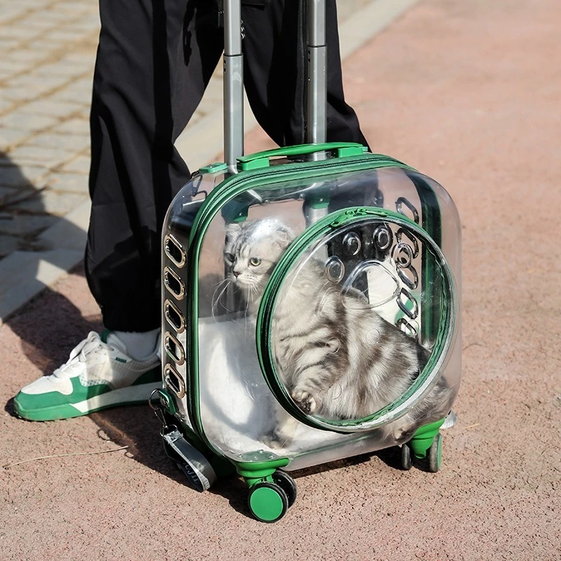 Mochila para gatos al aire libre, accesorios transparentes para mascotas, bolsa de gran capacidad, transpirable, portador de gatos y gatitos, bolsos de hombro para mujer - imagen 3