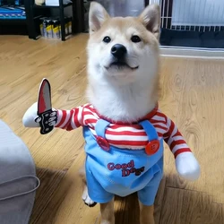 Disfraz de Halloween para perros pequeños y medianos – Cómodo