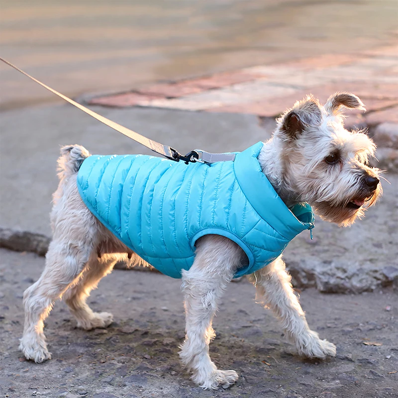 Abrigo de invierno para perros pequeños, chaqueta impermeable para mascotas, ropa reflectante para cachorros y gatos, chaleco para Bulldog Francés, Chihuahua, Pug - imagen 2
