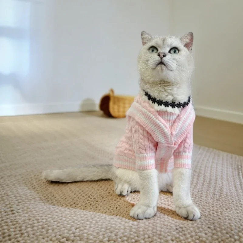 Suéter de estilo universitario para mascotas, abrigo de oso rubí nevado, ropa para cachorros, ropa para perros pequeños, Otoño e Invierno - imagen 2