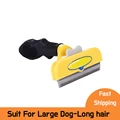 Dog L-long hair
