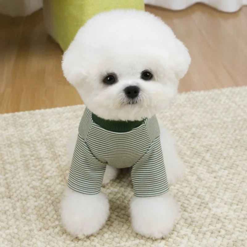 Camiseta de lujo verano suave rayas corazón para perro cachorro bichón - imagen 5