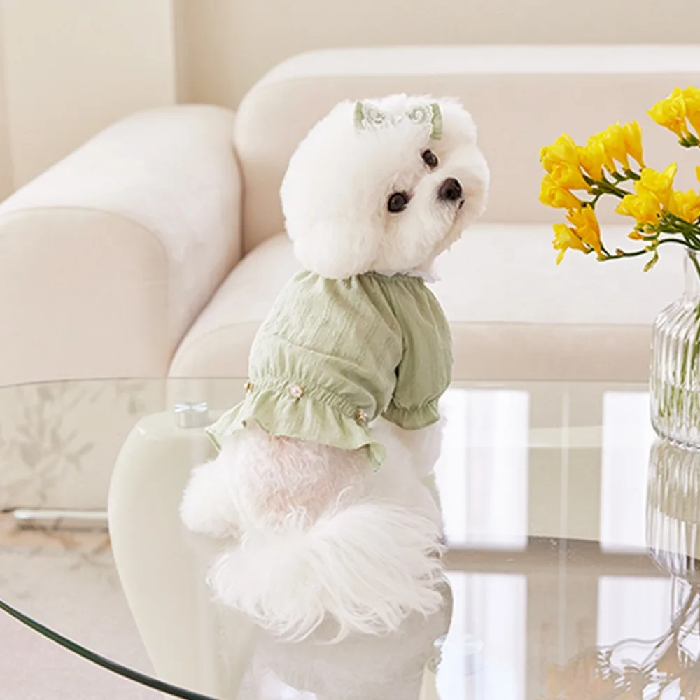 Camisa de manga de burbuja de primavera para mascotas, camiseta transpirable para perros, Top para gatos, peluches, tocado con lazo para mascotas, ropa para cachorros para perros pequeños