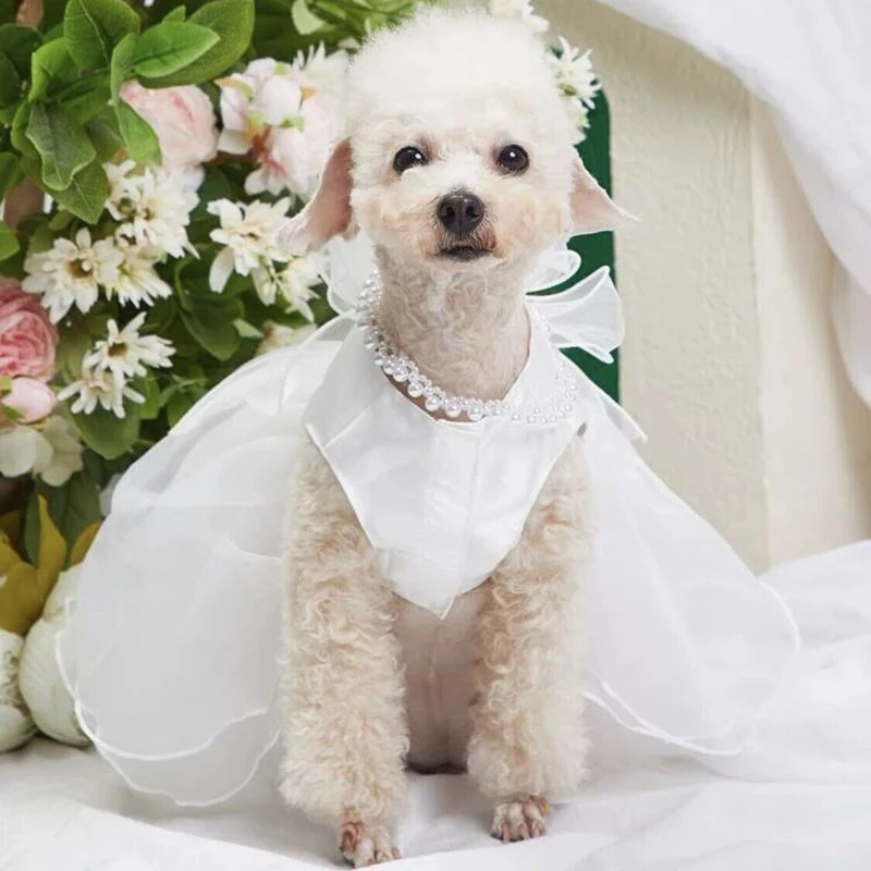 Ropa Para Perro Pequeño 2023 Elegante fiesta Vestidos de Novia Perro Vestido Blanco Doggie Chihuahua Ropa - imagen 3