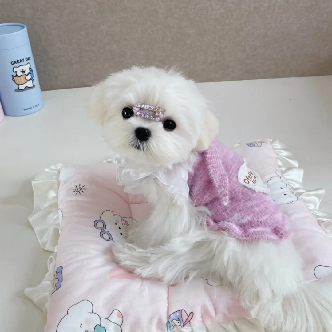 Camisola de otoño e invierno para mascotas, chaleco de encaje de piel de visón, suéter para gatos, suéter de punto cálido, abrigo de peluche Yorkshire, ropa para perros pequeños - imagen 4