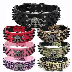 Collar y correa para perros con tachuelas calavera - Bulldog Francés