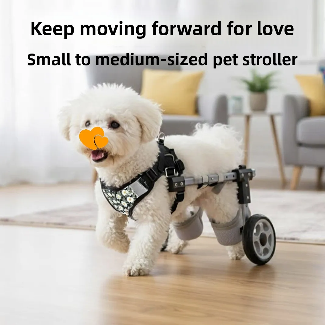 Silla de ruedas para perros y gatos – Rehabilitación patas traseras - imagen 2