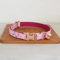 Cat Collar