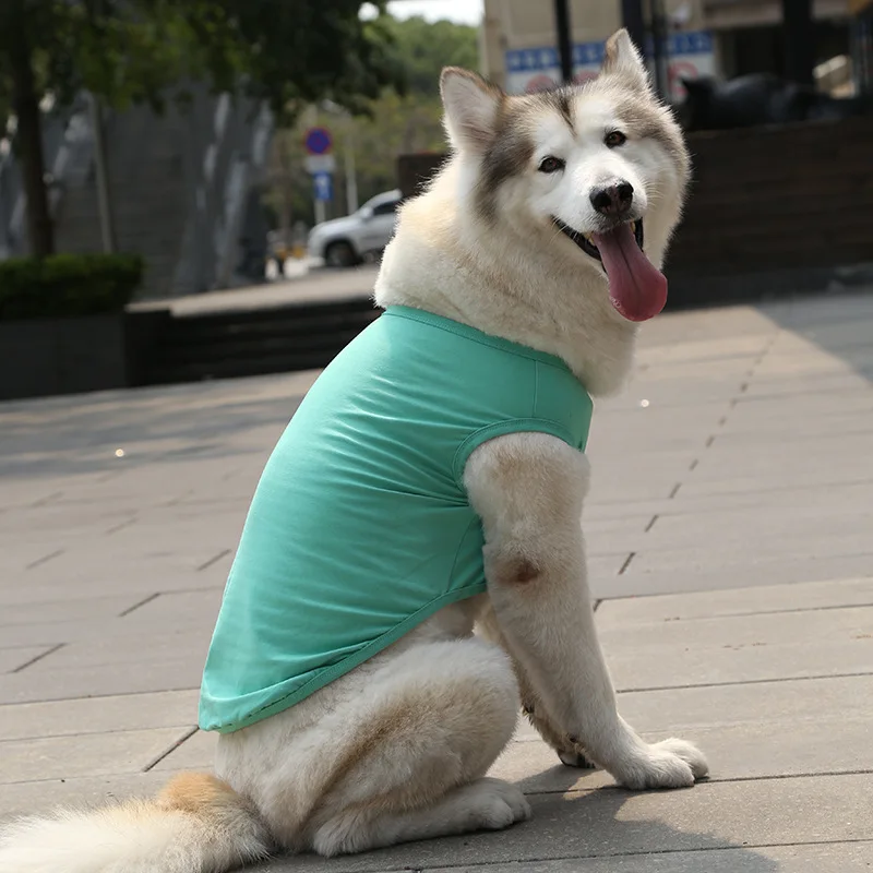 Ropa de algodón de pelo dorado para perros y gatos, chaleco de entrenamiento para mascotas de tamaño mediano y grande - imagen 5