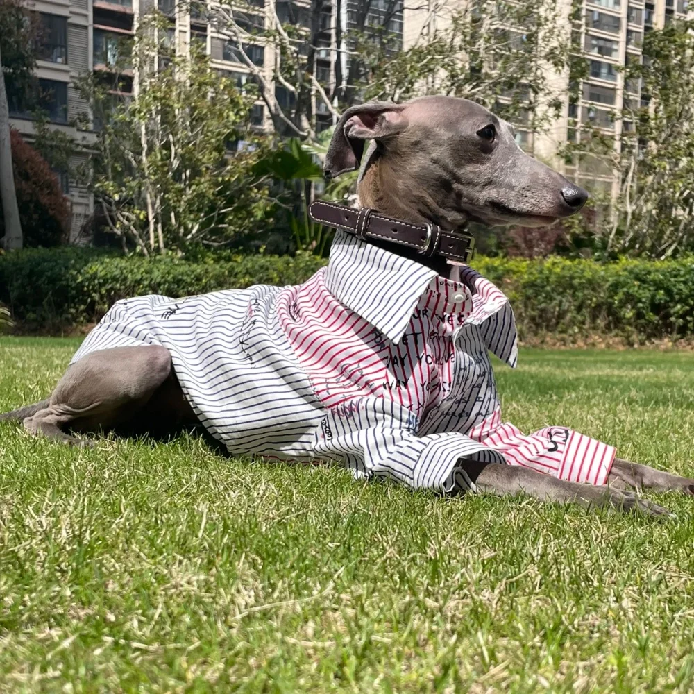 Elegante camisa de caballero con botones de rayas de algodón para Little Greyhound Loungewear Primavera Otoño Whippet Monograma Abrigo Negro - imagen 3