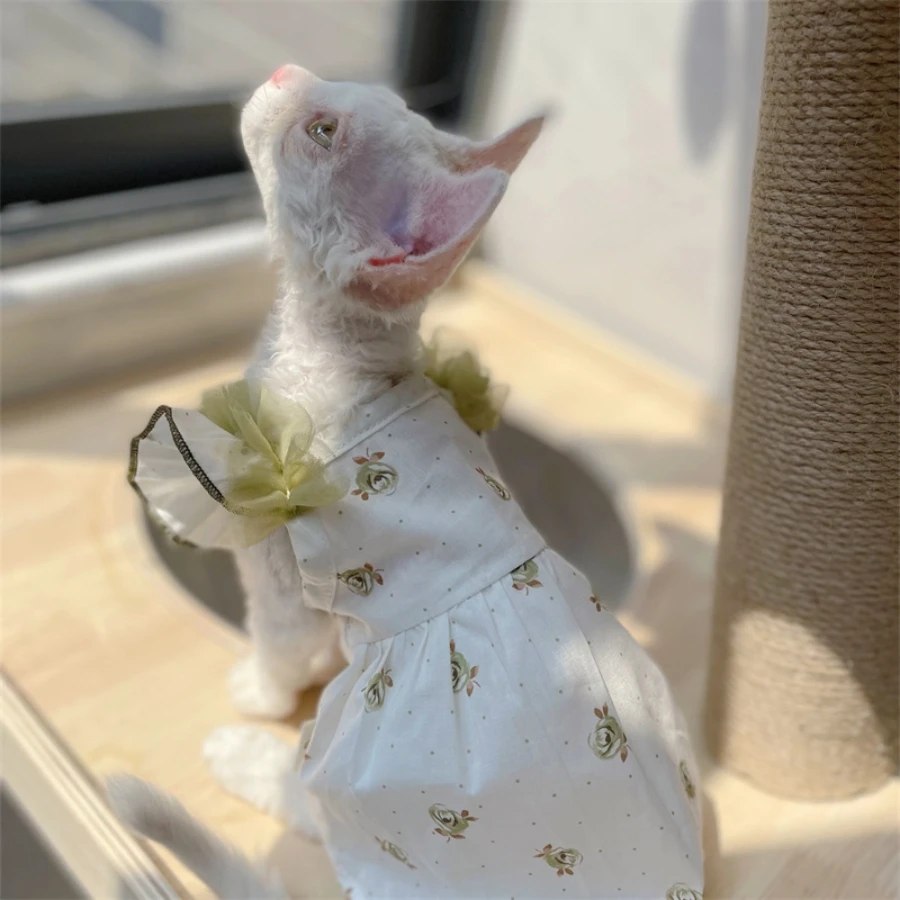 Vestido floral de encaje verde para Sphynx Cat Tirantes de verano para gata Falda transpirable para gatitos Camiseta dulce para Devon Rex - imagen 4