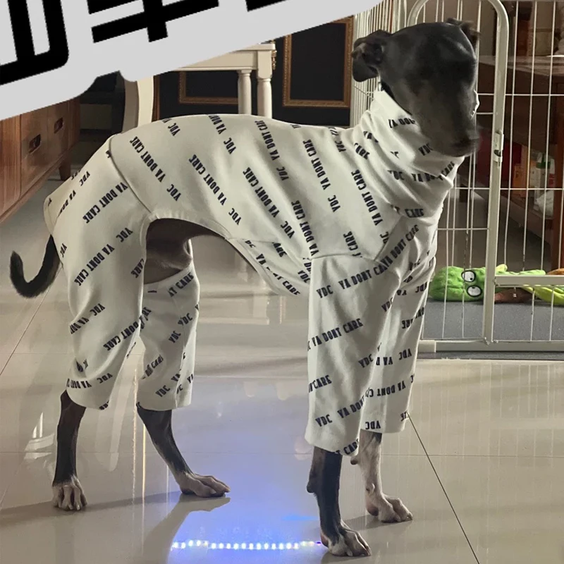 Ropa de algodón con estampado de cuello alto de cuatro patas para perro, Galgo Italiano, manga larga, Whippet, Otoño e Invierno - imagen 4