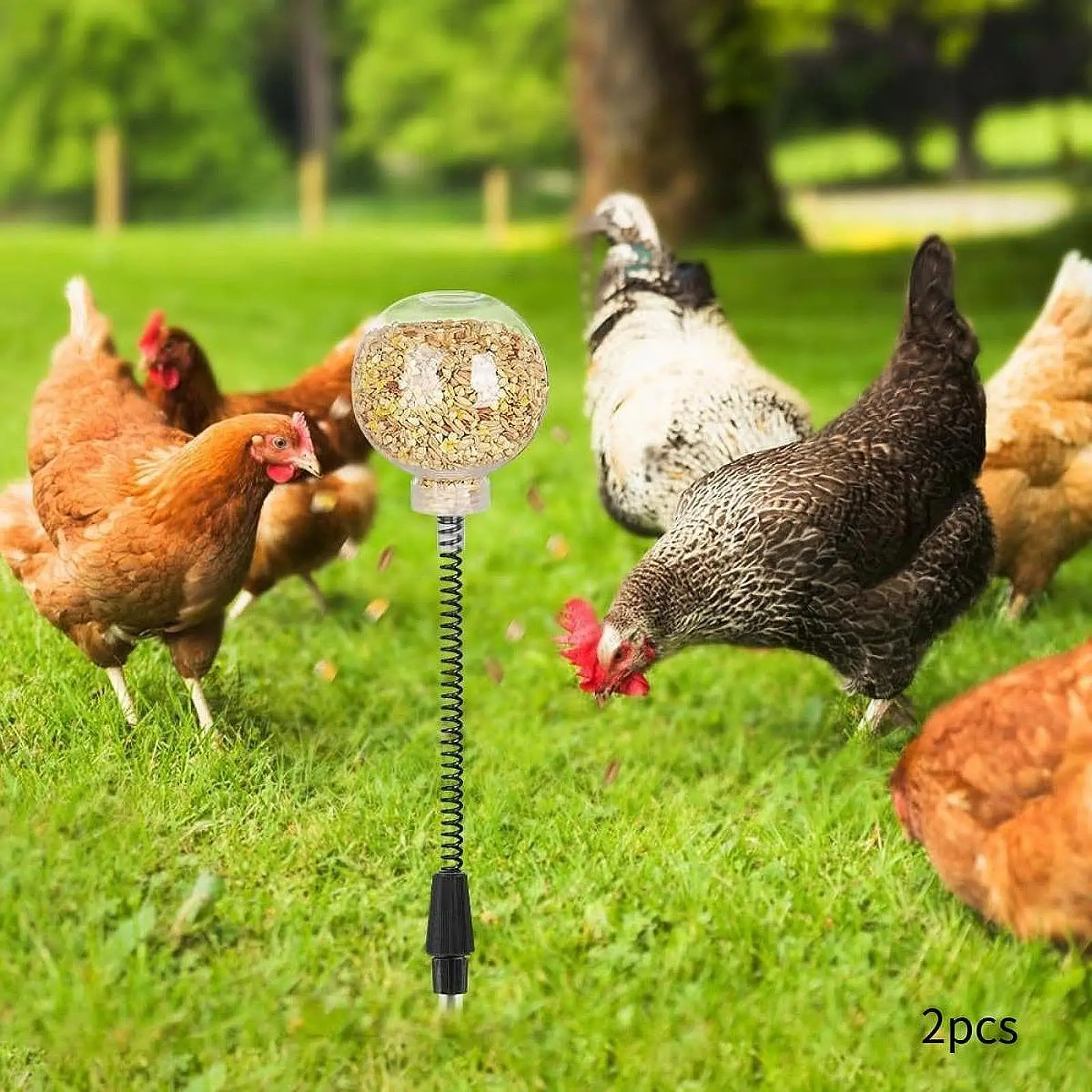 2x Chicken Peck Toy Slow Feeder Slow feed Release Toy for Birds Duck Parrots