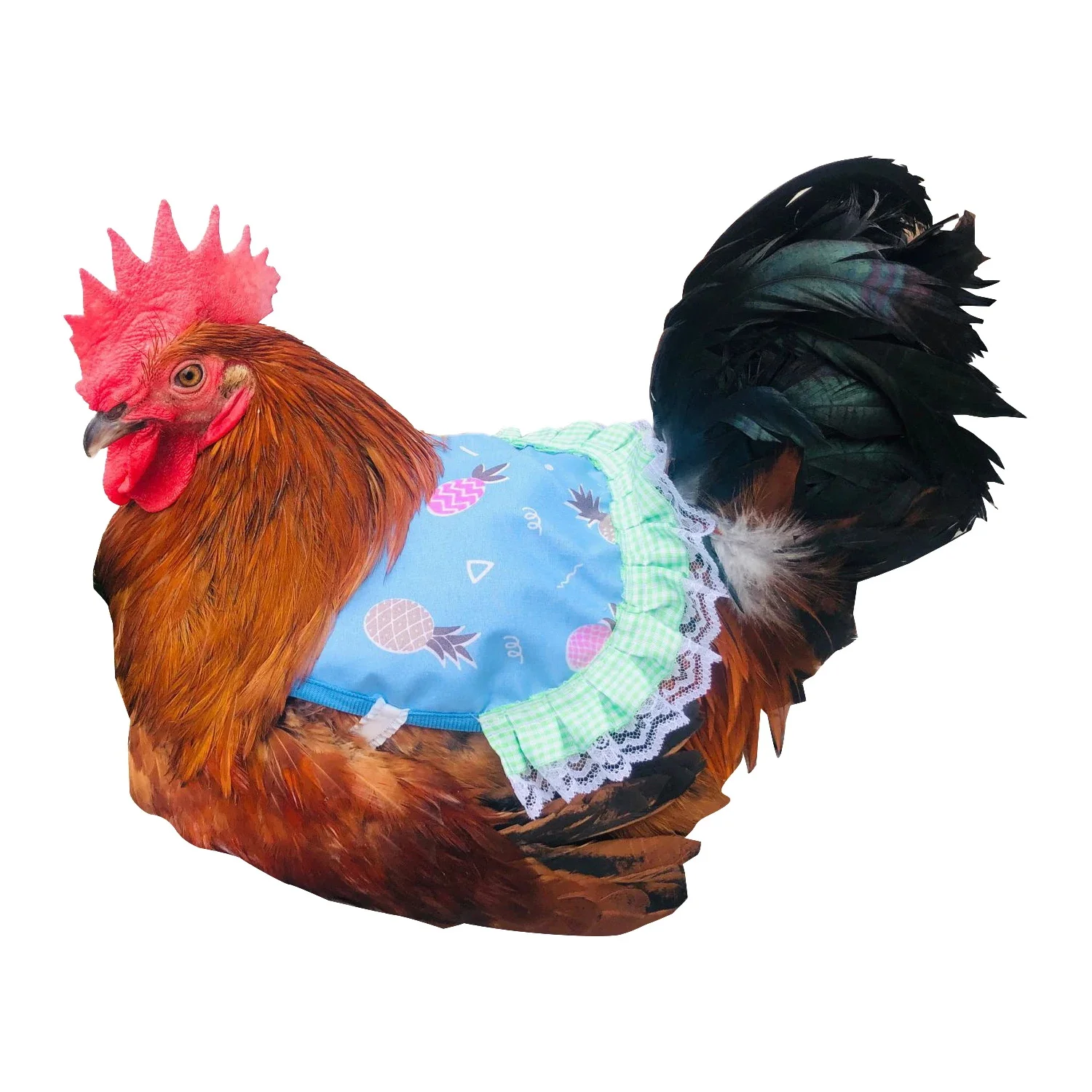 Delantal elástico para gallina, Protector de plumas para silla de montar de pollo, ropa ajustable para mascotas, vestido de pollo y pájaros, delantal para aves de corral para clima frío, 1 ud.