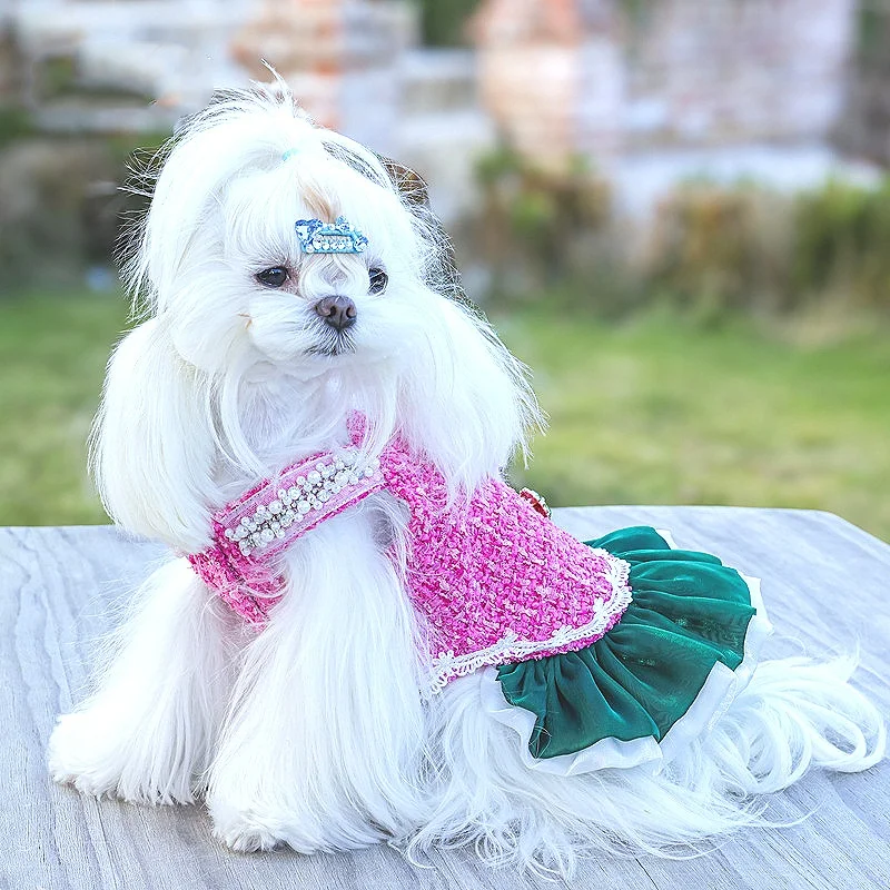 Vestidos lolita de Tweed para perros pequeños, vestido de princesa para perros, vestido de boda para mascotas, ropa Formal para fiesta de cumpleaños, vestido de tul para perros - imagen 2
