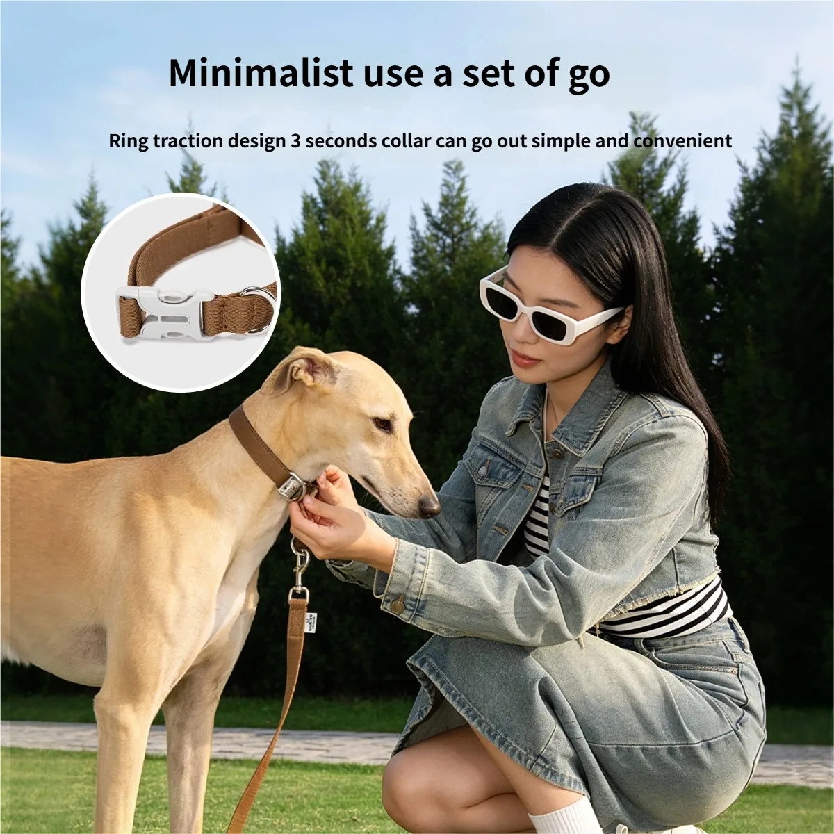Conjunto collar y correa para perros - algodón con mango acolchado - imagen 3