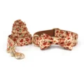 bow collar leash set