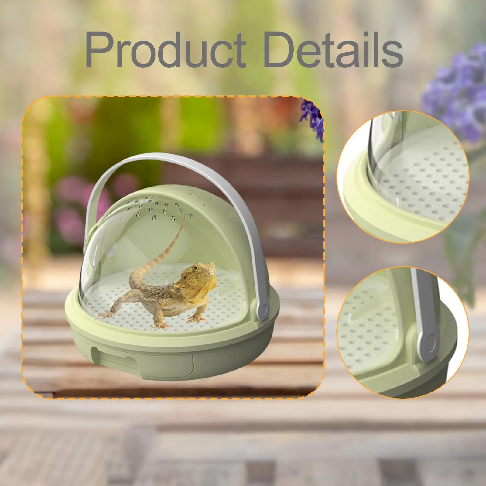 Reptile Feeding Box Spacious Gifts Ventilated Multi Purpose Display Box Tarantula Enclosure Terrarium Cage for Invertebrates