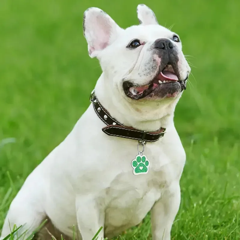 Etiqueta de identificación de perro personalizada con purpurina personalizada, etiqueta de nombre con forma de corazón y pata, accesorios para decoración de Collar, 1 ud. - imagen 5