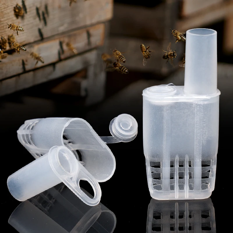 50/100 Uds jaulas de abeja reina protección de apicultura aislamiento de abeja reina plástico blanco movimiento herramientas de apicultura de abeja reina - imagen 3