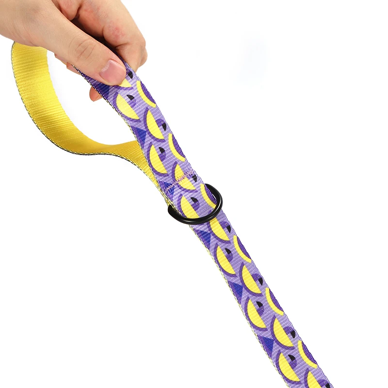 La correa para perro POCKET PARROT de diseño único de PLATTCO es vívida y linda, adecuada para perros que caminan de todos los tamaños PDL312 - imagen 4