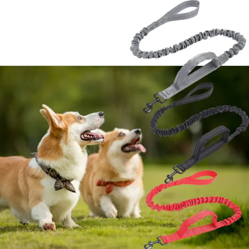 Correa de doble Mango para perro, cadena reflectante retráctil, elástica de nailon para Andador de mascotas - imagen 2