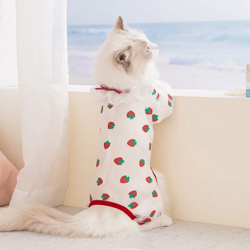 Pantalones de 4 patas para perros y gatos: ropa cómoda - imagen 2