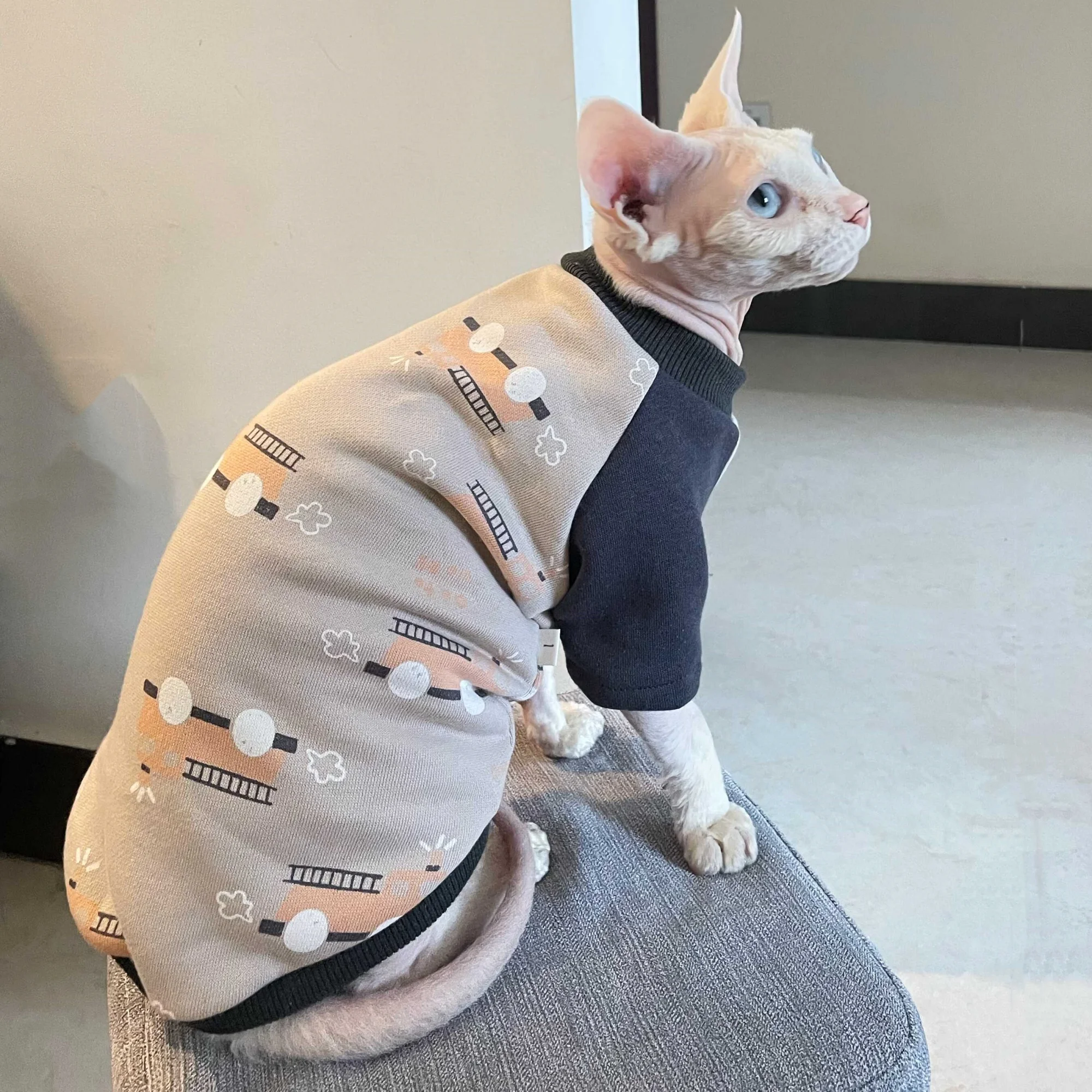 Sudadera polar gris con coches para gatos Sphynx y Devon Rex - imagen 3