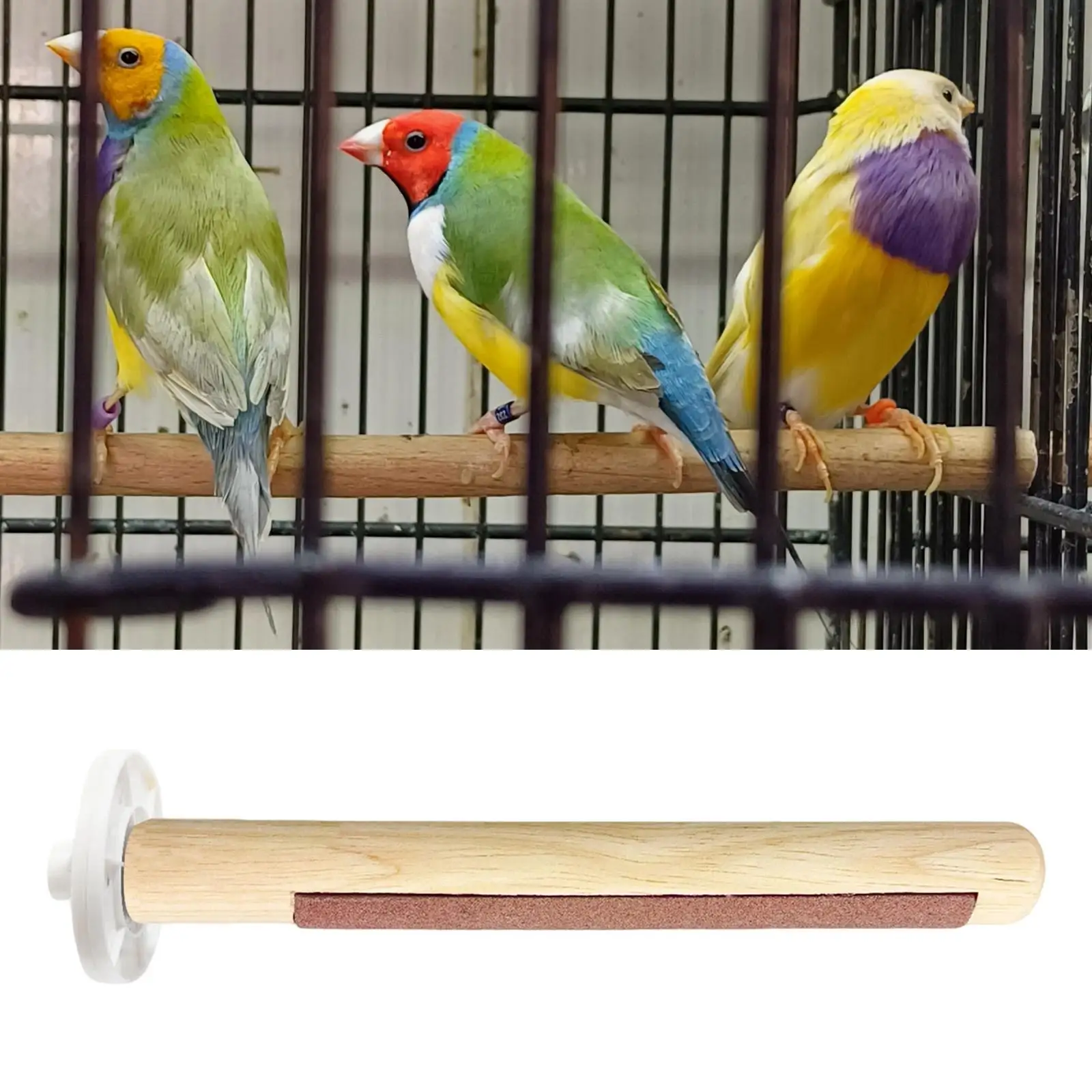 Bird Perch Grinding Claw 2 in 1 Play and Rest for Conures Budgies Parakeets Bird Perch Grinding Claw 2 in 1 Play and Rest for Conures Budgies Parakeets