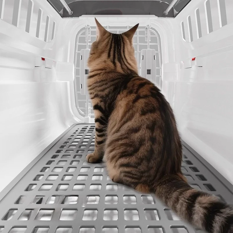 Transportín portátil ventilado para perros y gatos – Ideal en viajes - imagen 5