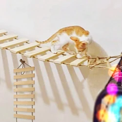 Escalera para gatos de madera natural - Puente de árbol versátil