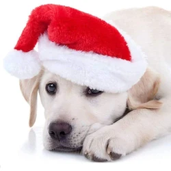 Gorro navideño para perros y gatos - felpa roja