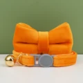 bow tie collar(18)