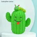 Caterpillar cactus