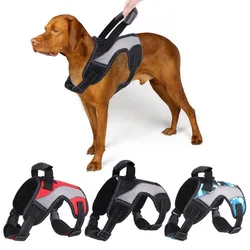 Arnés sin tirones para perros grandes – Control cómodo y seguro
