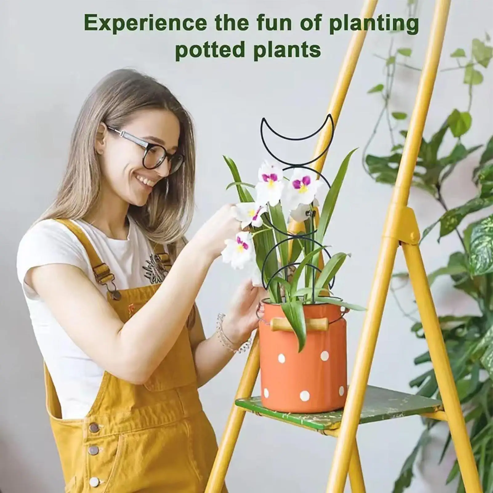 Enrejado para plantas trepadoras, enrejado de jardín de Metal para interiores, plantas trepadoras, plantas de interior de Metal, estructuras de obelisco creciente para - imagen 2