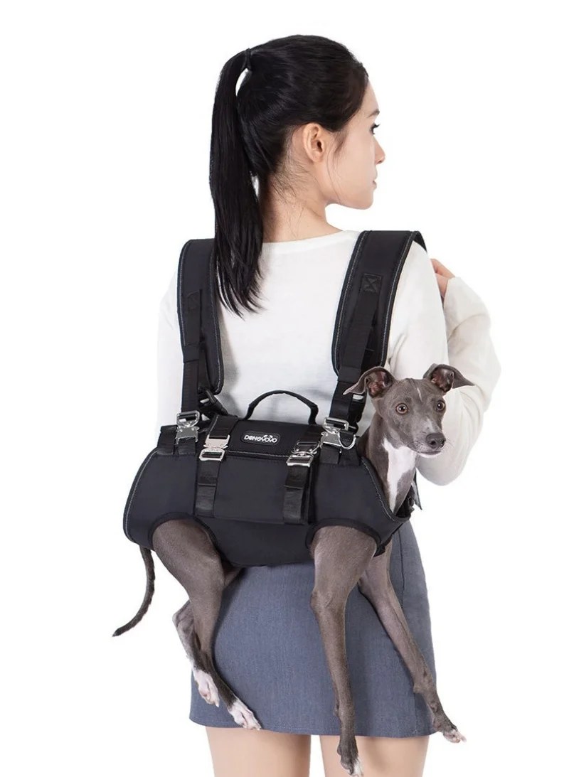 Mochila para perros, arnés de elevación para perros con correa, mochila ajustable para transportar mascotas, piernas hacia fuera, bolsa frontal para perros de cuerpo completo - imagen 2