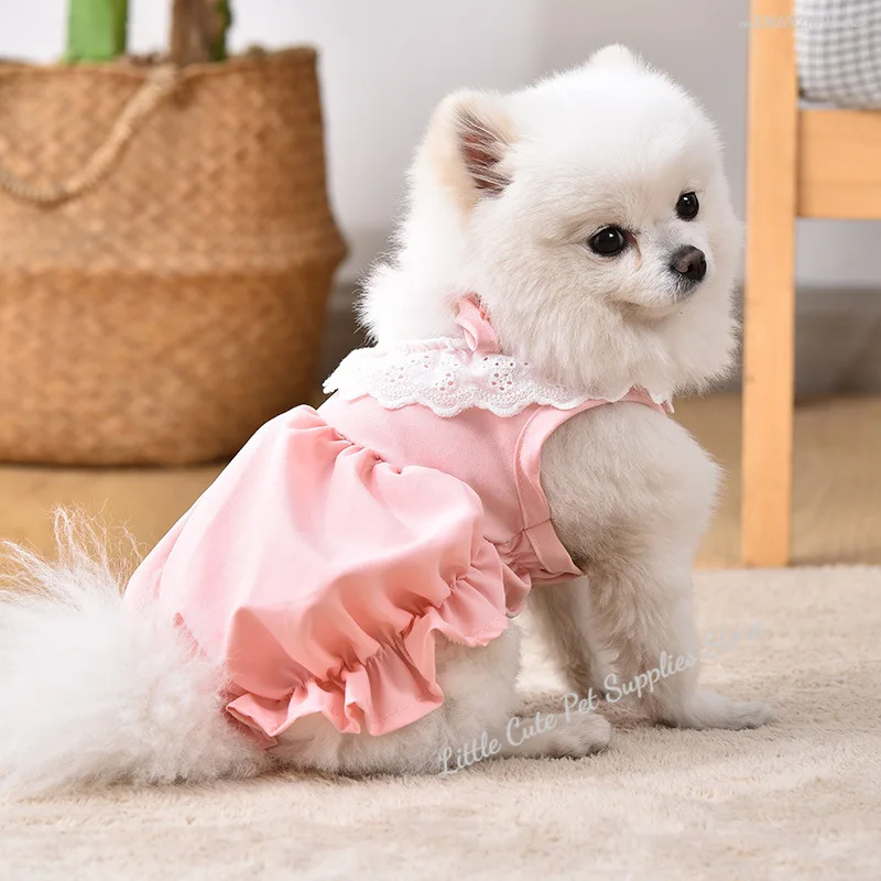 Vestido de princesa de gato de Color sólido de verano falda de encaje de gato suave transpirable disfraz de perro gato fino elástico - imagen 4
