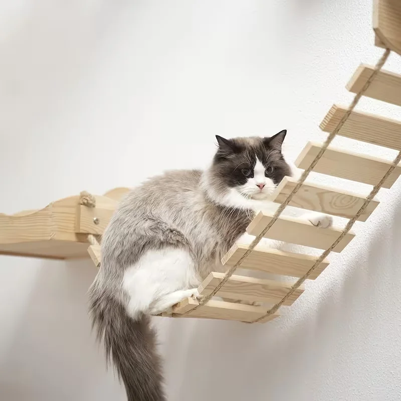 Estantes de pared para gatos: dormir, jugar y trepar en un mueble - imagen 5