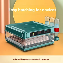 Incubadoras de pollos, incubadora casera pequeña, incubadora automática de huevos inteligente para el hogar, incubadoras de cama de agua para plántulas de pollos, productos para mascotas