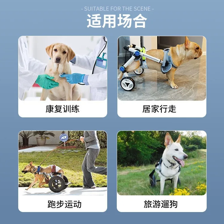 Silla de ruedas para perros pequeños y medianos – Rehabilitación - imagen 3